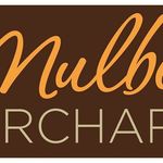@mulberry.orchard
