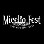 @miceliofest