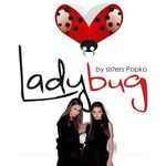 @ladybug_by_sisterspopko