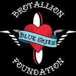 @blue_skies_foundation