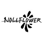 @nollflower_official
