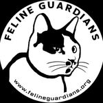 @feline_guardians