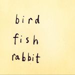 @birdfishrabbit