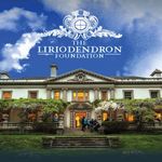 @theliriodendronmansion